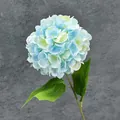 Künstliche Hortensie mit blauem Farbverlauf und grünen Blättern für die Deko - Zweifarbig Hellblau