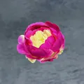 Artificial silk peony flower head in vibrant magenta and yellow for DIY weddings - Two-tone Maroon