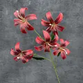 Artificial lily branch with five vivid red silk flower heads for home decoration - Red