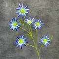 Artificial 6-head daisy flower in gradient purple blue with yellow center for home decor - Blue