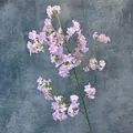 Single stem of lifelike purple mock orange silk flowers for modern home interior decor - Light Purple
