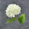 Realistische einzelne weiße künstliche Hortensie mit Blättern für die Dekoration - Weiß