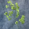 Realistic light green artificial Daphne flower spray with multiple small blooming clusters - Green