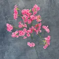 Single pink artificial cherry blossom branch with multi-forked stems for home decoration - Rose Red