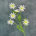 Artificial 6-head white daisy with pink stripes and green core for home decoration - Pink