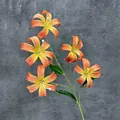 Vibrant orange lily with five blooming heads and realistic spots on a dark textured wall - Sunset Red
