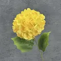 Vibrant single stem yellow hydrangea faux flower with green leaves on grey background - Yellow