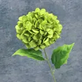 Lifelike single stem artificial green hydrangea flower for wedding and home decoration - Green