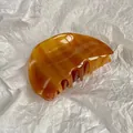 Elegante pinza per capelli in acetato tartarugato ambra con design a conchiglia lucida - Caramello