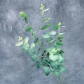 Rama de eucalipto artificial con hojas de color gris verde para decoración de hogar - Verde oscuro