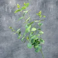 Tallo de eucalipto artificial con hojas verdes redondas para decoración de interiores - Verde claro