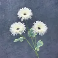 Artificial white African daisy with three flower heads and natural green stems - White