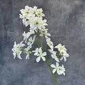 Realistische weiße Clematis-Kunstblume mit grünen Stielen für die elegante Heimdekoration - Weiß