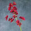 Künstliche tiefrote Clematis-Blüten mit mehreren Köpfen und naturgetreuen Staubgefäßen - Rot