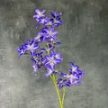 Clématite artificielle violette avec tige verte pour une décoration élégante - Violet foncé