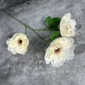 Dreiköpfiger künstlicher Hibiskus Pfingstrosenzweig in Cremeweiß für Heimdekoration - Champagner