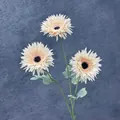 Tre steli di gerbera artificiale color crema con centro nero e foglie verdi - Champagne