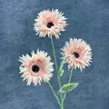 Gerbera artificiale rosa chiaro a tre teste con steli verdi su sfondo blu scuro - Rosa