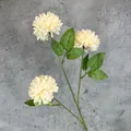 Artificial cream ball mum flower with three heads and green leaves against a grey wall - Champagne