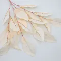 Artificial pomelo leaf branch in cream white with red-brown veins for home decor - Champagne