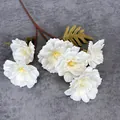 Tak van een witte kunstmatige pioenroos met zes bloemhoofden en een groen blad - Wit