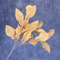Artificial gold pomelo leaves with realistic metallic veins for home decor branch - Autumn Yellow