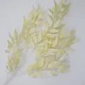 Artificial willow leaf branch in cream beige for home and wedding floral decoration - Champagne