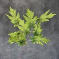Artificial green oak leaf branch with realistic texture for wedding home decor - Green