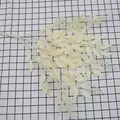 Artificial cream willow branches with long leaves for home decor floral arrangements - Champagne