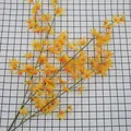Vibrant yellow artificial Dancing Lady Orchids with realistic petals for floral decoration - Orange