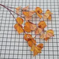 Faux orange autumn leaf branches with red berries for home floral decoration - Orange