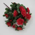 Ramo realista de 21 azaleas rojas con hojas verdes sobre fondo blanco puro - Rojo