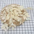 Artificial cream-colored peanut leaf branch with five forks on a straw mat background - Champagne
