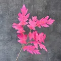 Vibrant hot pink faux oak leaf branch with serrated texture for floral decoration - Rose Red