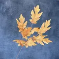 Artificial golden brown oak leaves with serrated edges for autumn wedding decoration - Autumn Yellow