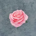 Testa di rosa artificiale in velluto rosa per decorazioni nuziali fai da te - Rosa