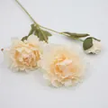 Faux champagne peony silk flower spray with two blooming heads and one green bud - Champagne