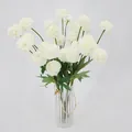 Fleurs de chrysanthème pompon blanc dans un vase en verre à rayures verticales - Blanc