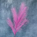 Plumas de caña artificiales rosa vibrante para decoración de bodas sobre fondo gris oscuro - 7 puntas / Rosa Roja
