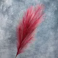 Hierba de pampa artificial rosa oscuro para decoración moderna de bodas y hogar - 7 puntas / Rojo oscuro