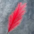 Hierba de pampa artificial de color rojo vibrante para bodas y decoración del hogar - 7 puntas / Rojo