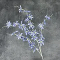 Single grey-blue faux clematis stem with slender petals and pale yellow centers - Lake Blue