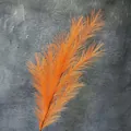 Hierba de pampa artificial naranja vibrante para decoración de hogar y bodas - 7 puntas / Naranja