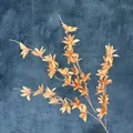 Artificial multi-head dancing orchid spray in amber orange for home floral decor - Caramel color