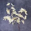 Realistic cream white artificial orchid branch with detailed petals for wedding decor - Champagne