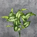 Artificial calathea plant bundle with striped green leaves for home decor - Design No.9