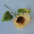Artificial pale yellow sunflower stem with detailed brown center on white texture - Champagne