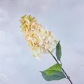Realistic artificial hydrangea flower with cream to orange gradient petals and green leaves - Champagne