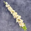 Branche de delphinium artificielle blanc crème pour mariage et décoration intérieure - Champagne