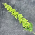 Branche de pied-d'alouette artificiel vert pour décoration de maison et mariage - Vert